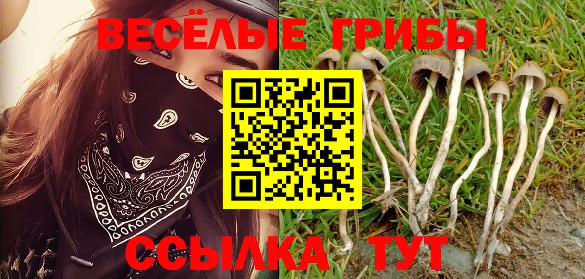 Домодедово  Псилоцибиновые грибы мухоморы  Вход с VPN  Галлюциногенные грибы ЛСД 