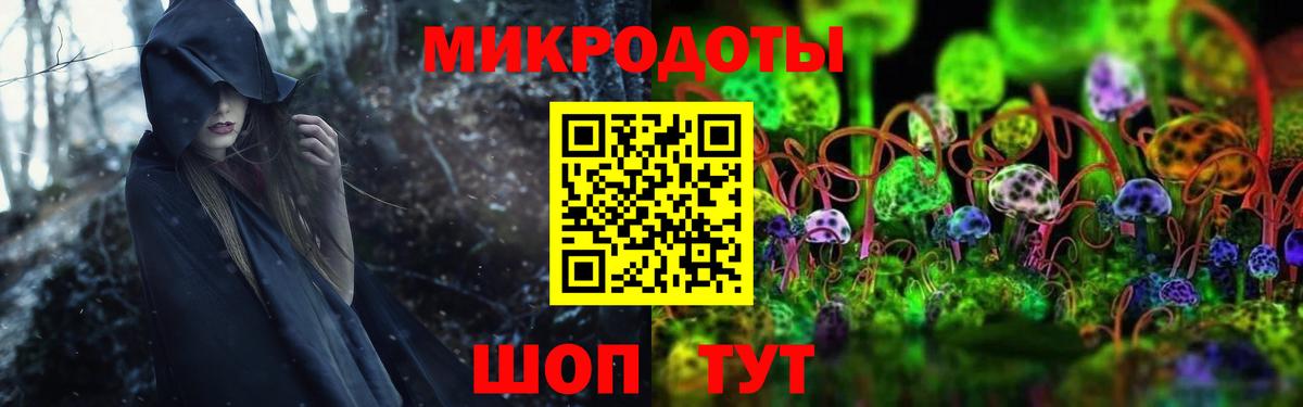 Псилоцибиновые грибы прущие грибы Домодедово
